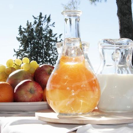 ماليانو إن توسكانا Locanda Delle Mura Anna De Croy المظهر الخارجي الصورة