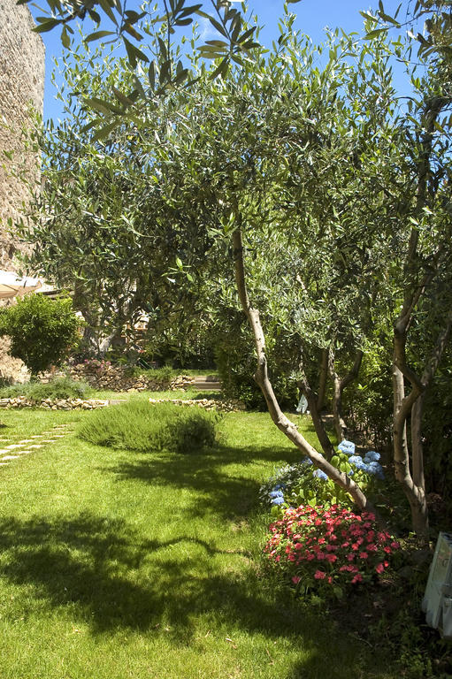 ماليانو إن توسكانا Locanda Delle Mura Anna De Croy المظهر الخارجي الصورة
